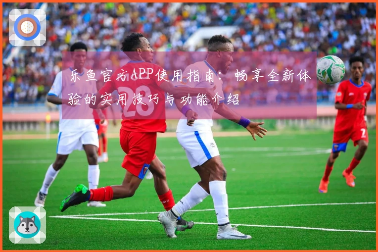 乐鱼官方APP使用指南：畅享全新体验的实用技巧与功能介绍