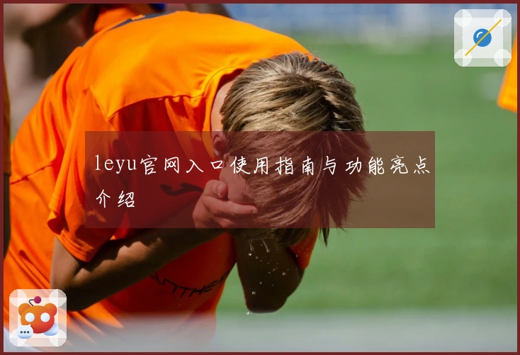 leyu官网入口使用指南与功能亮点介绍