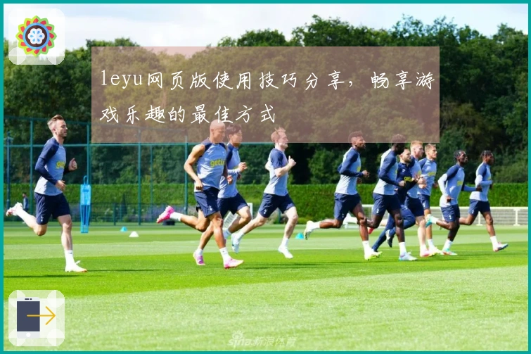 leyu网页版使用技巧分享，畅享游戏乐趣的最佳方式
