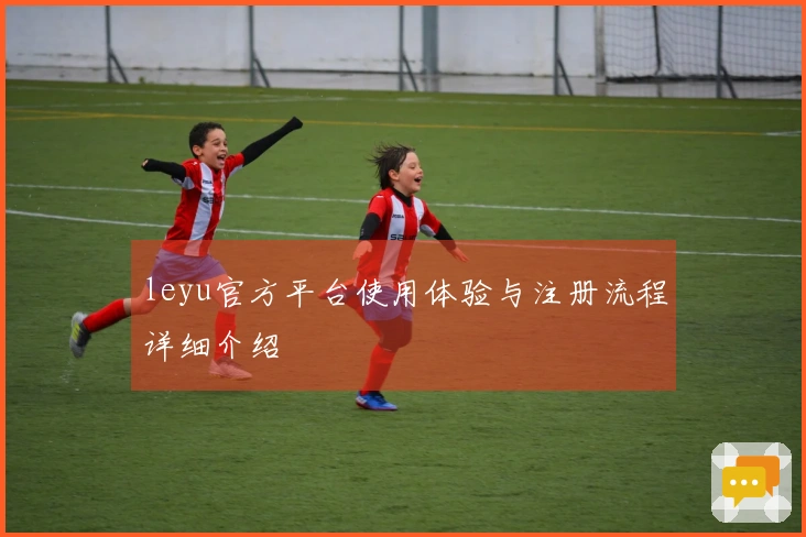 leyu官方平台使用体验与注册流程详细介绍