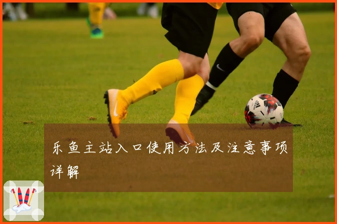 乐鱼主站入口使用方法及注意事项详解