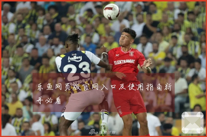 乐鱼网页版官网入口及使用指南新手必看