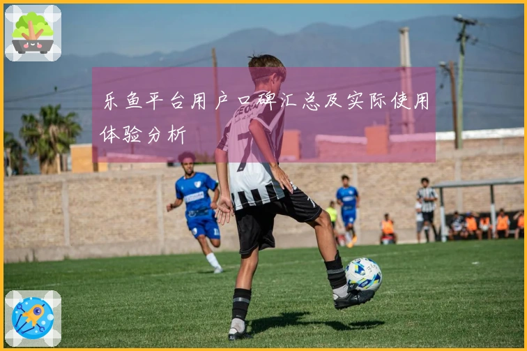 乐鱼平台用户口碑汇总及实际使用体验分析