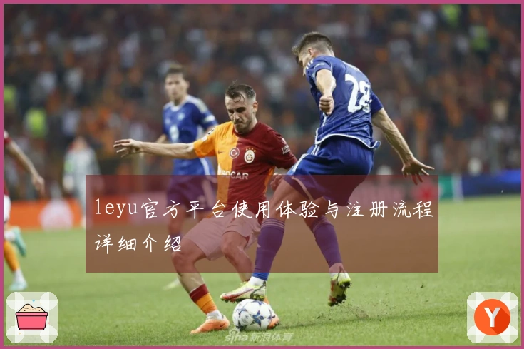 leyu官方平台使用体验与注册流程详细介绍