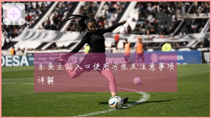 乐鱼主站入口使用方法及注意事项详解